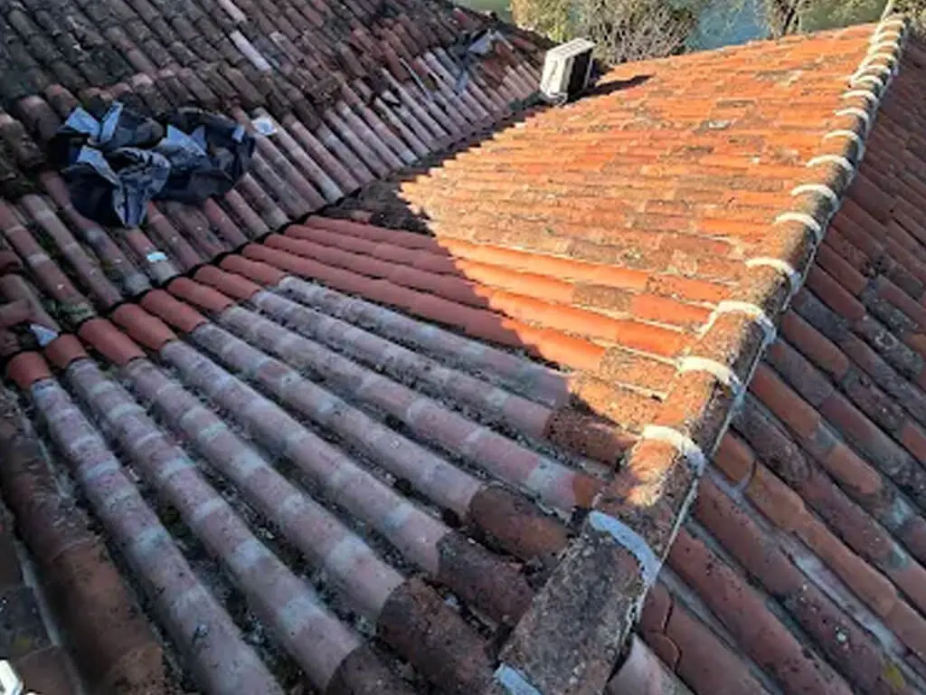 Nettoyage & Démoussage